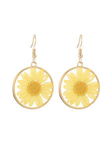 Pressed Daisy Flower - Yellow - Gold Tone - Fish Hook Earrings